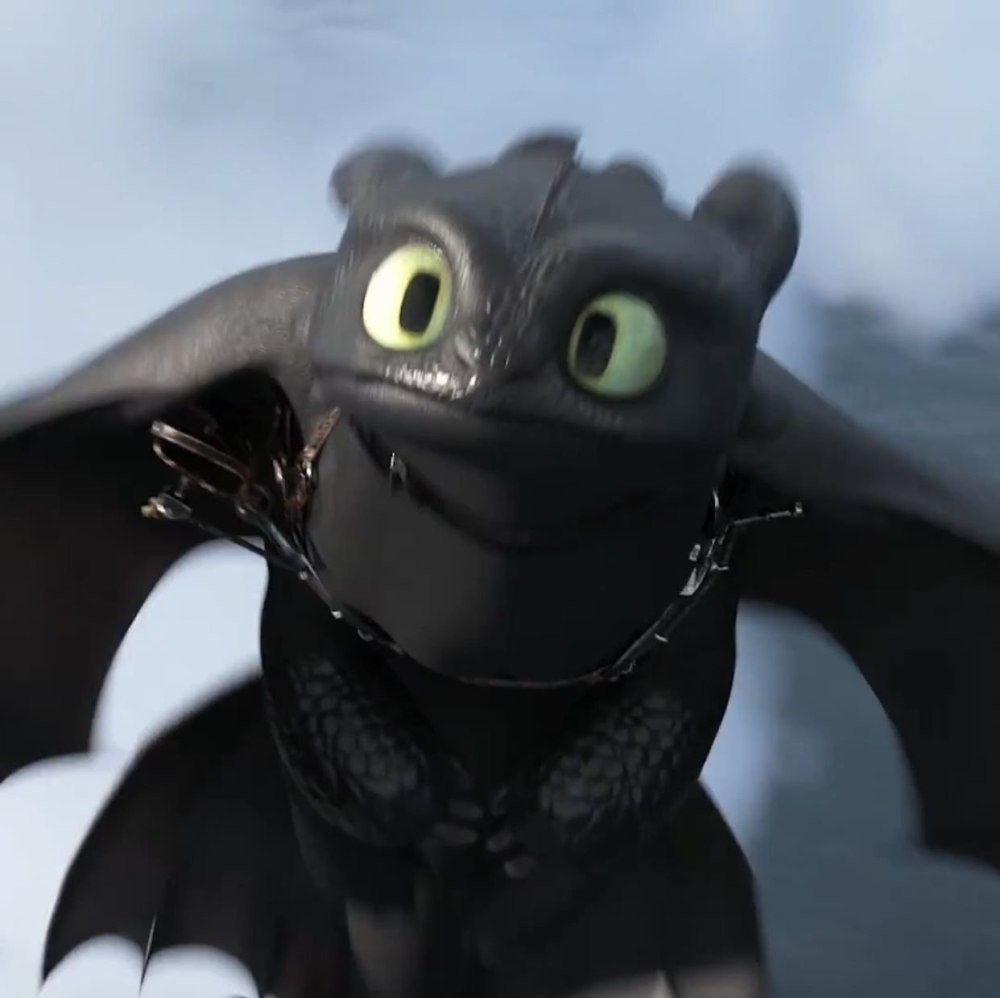 Toothless and Light Fury