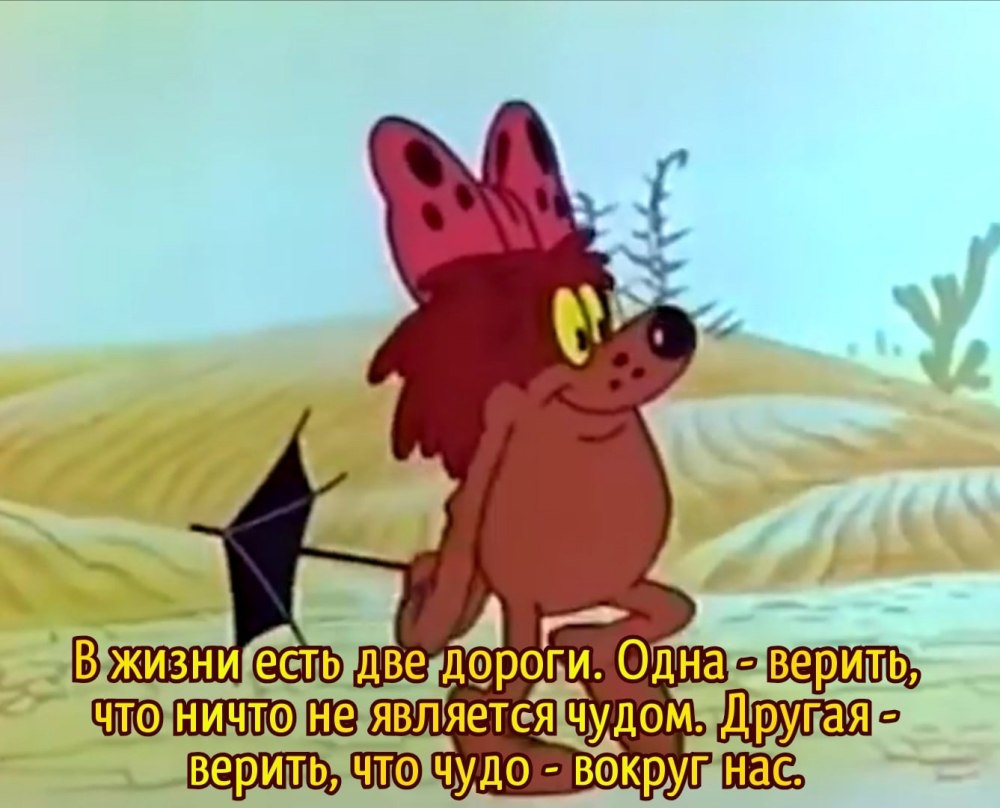 Дюдюки барбидонской