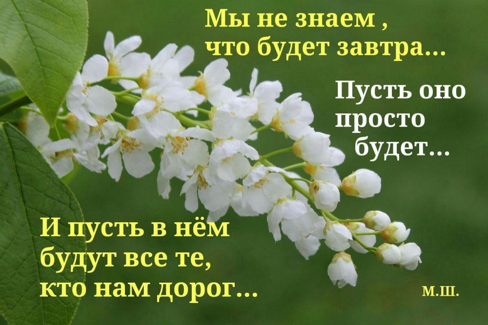 Мы не знаем что будет завтра