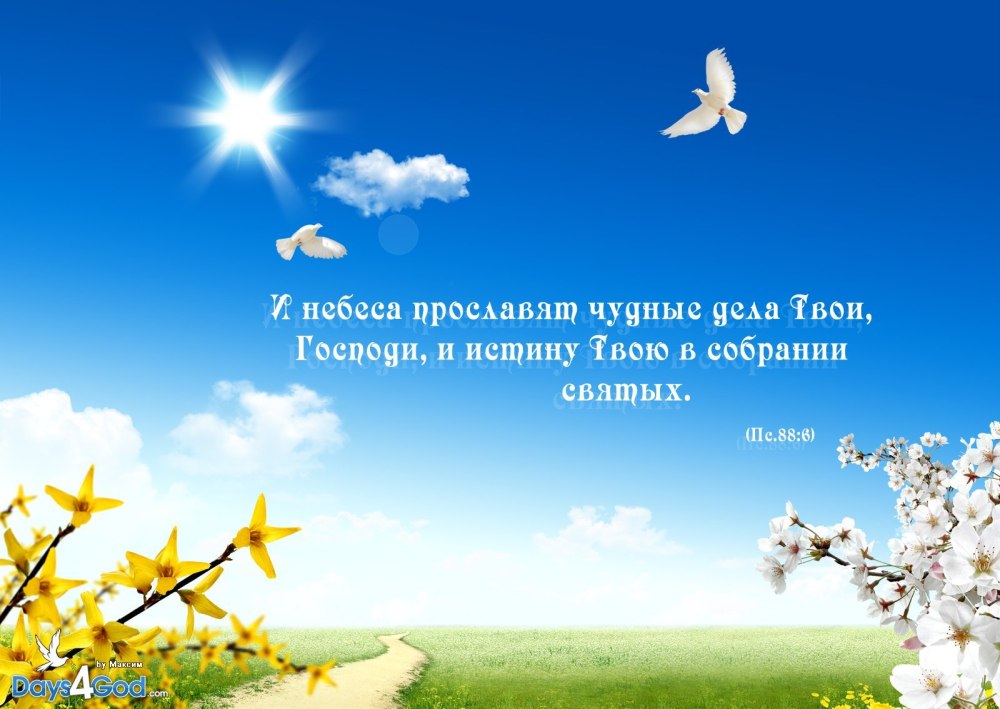 Афоризмы про небо