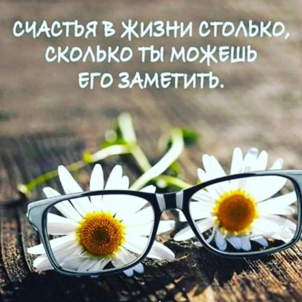 Цветы и небо цитаты