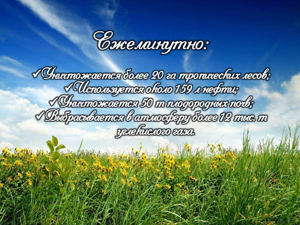 Иван Бунин и цветы и шмели и трава и колосья