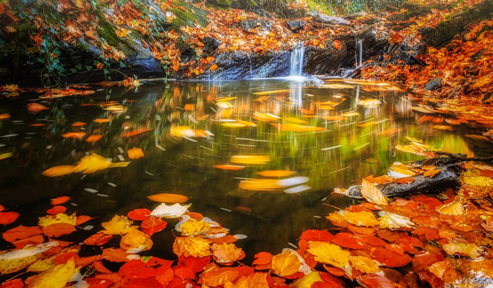 Осень вода