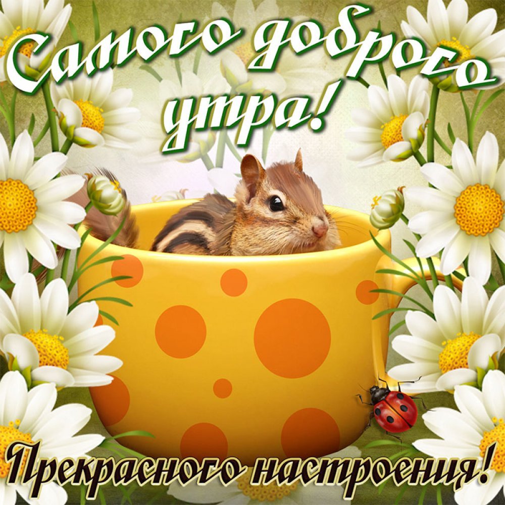 Доброго утра и хорошеготнастроения