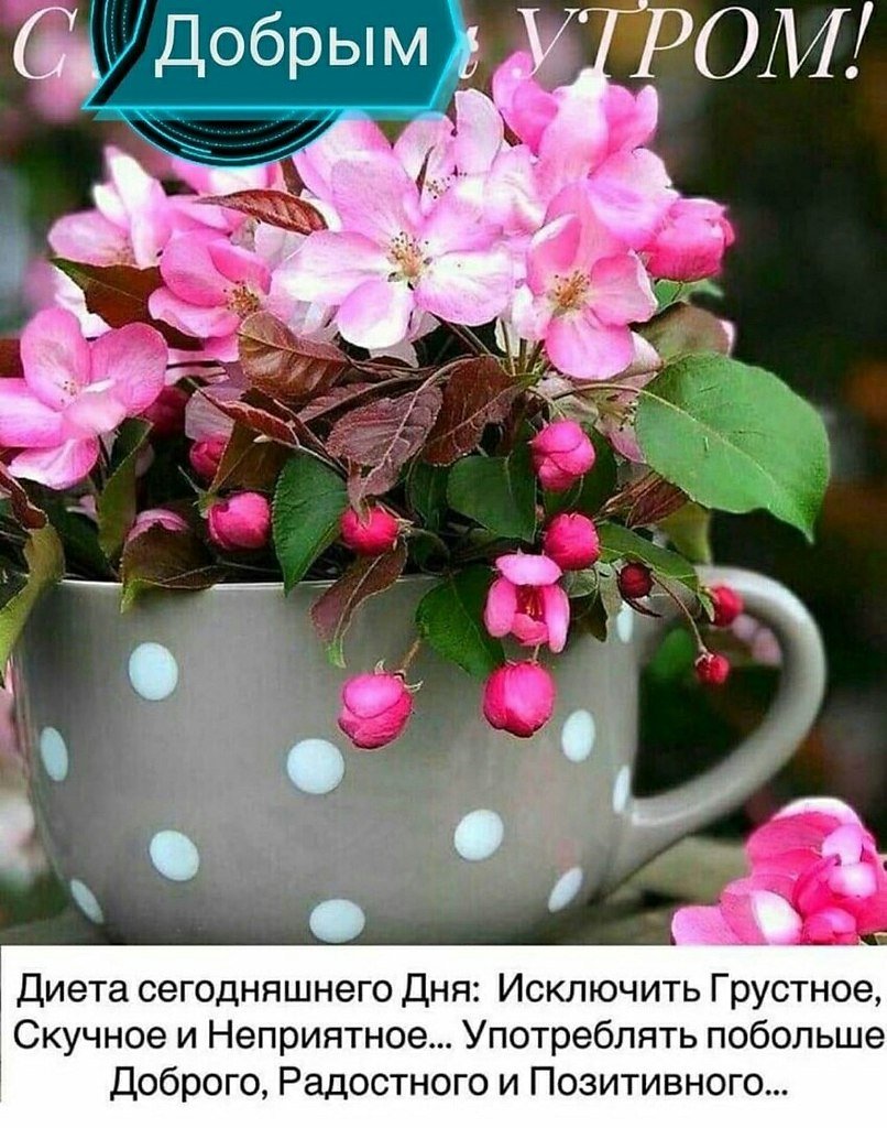 Самого доброго утра и хорошего