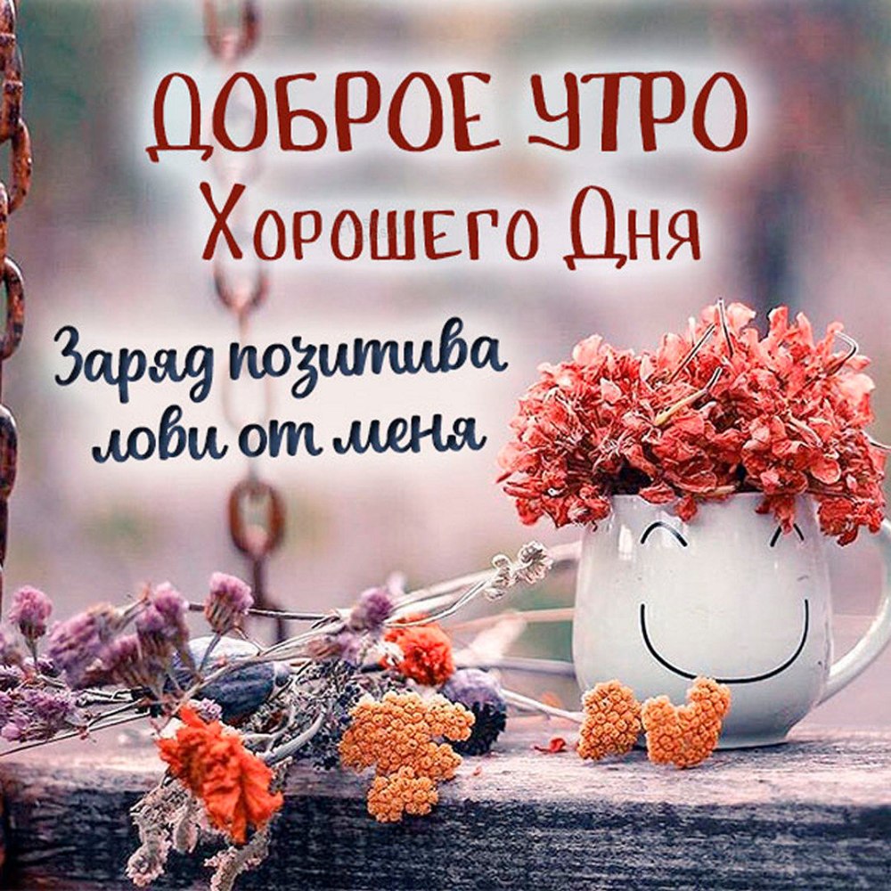 Доброе утро отличного дня
