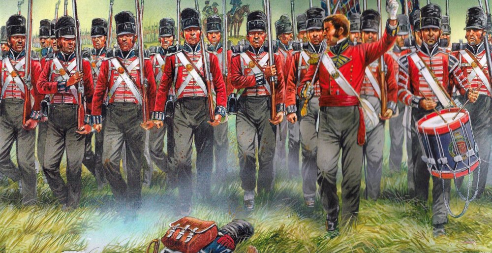 Наполеоника: Британская пехота 1815