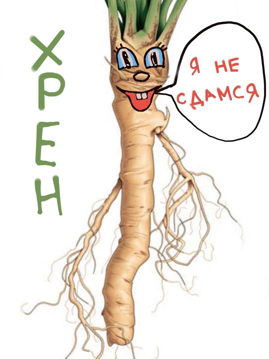 Хрен для детей