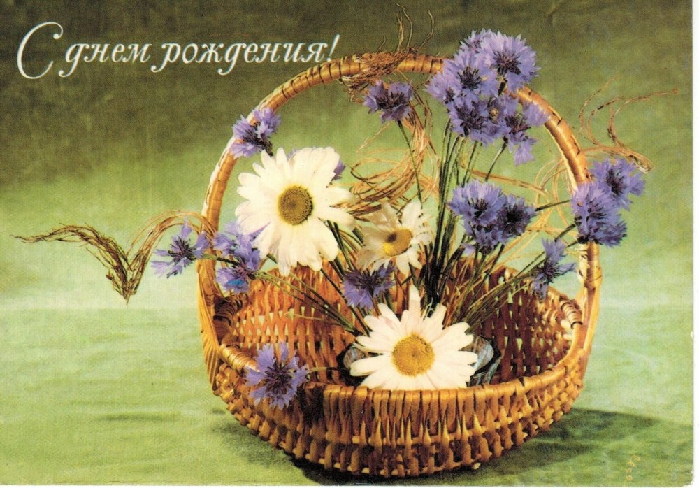Открытки корзина ромашек с днем рождения