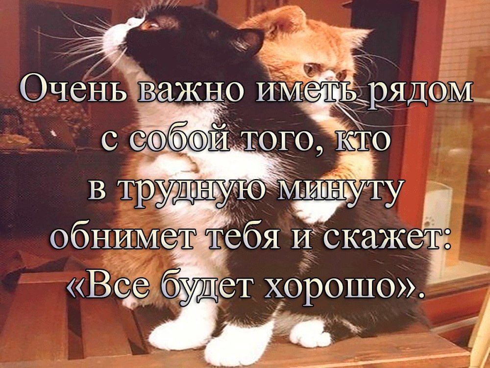 Статусы про обнимашки