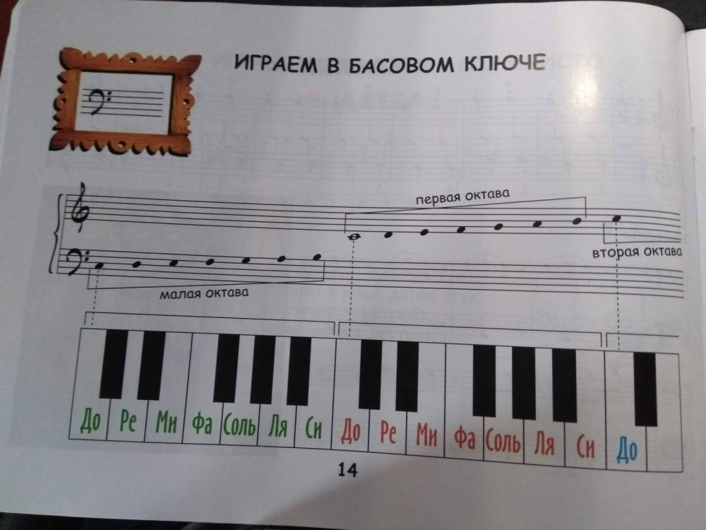 Нотный стан басовый ключ