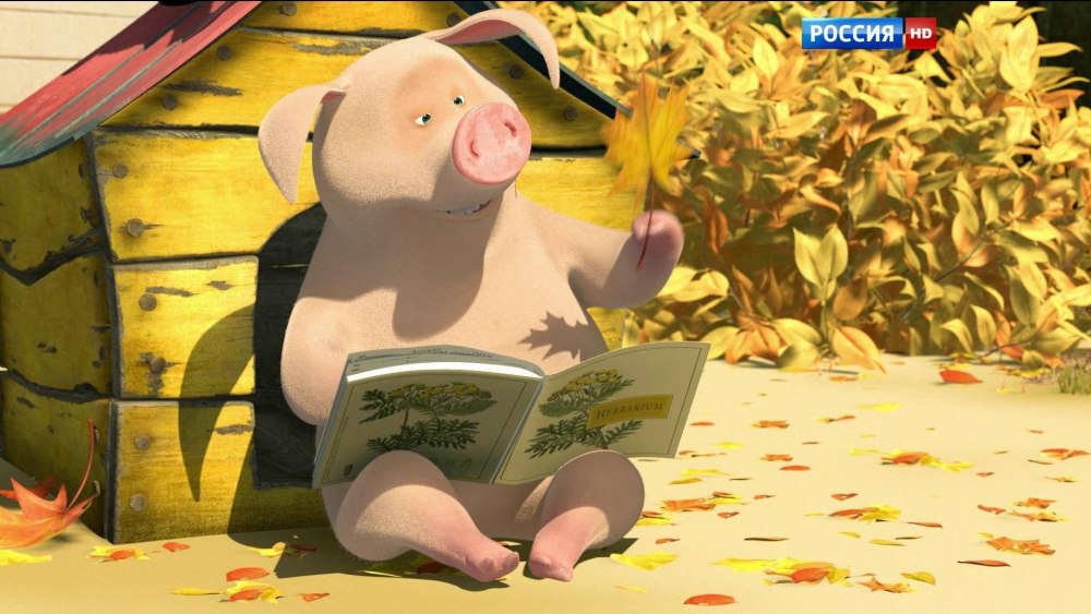 Маша и медведь хрюшка