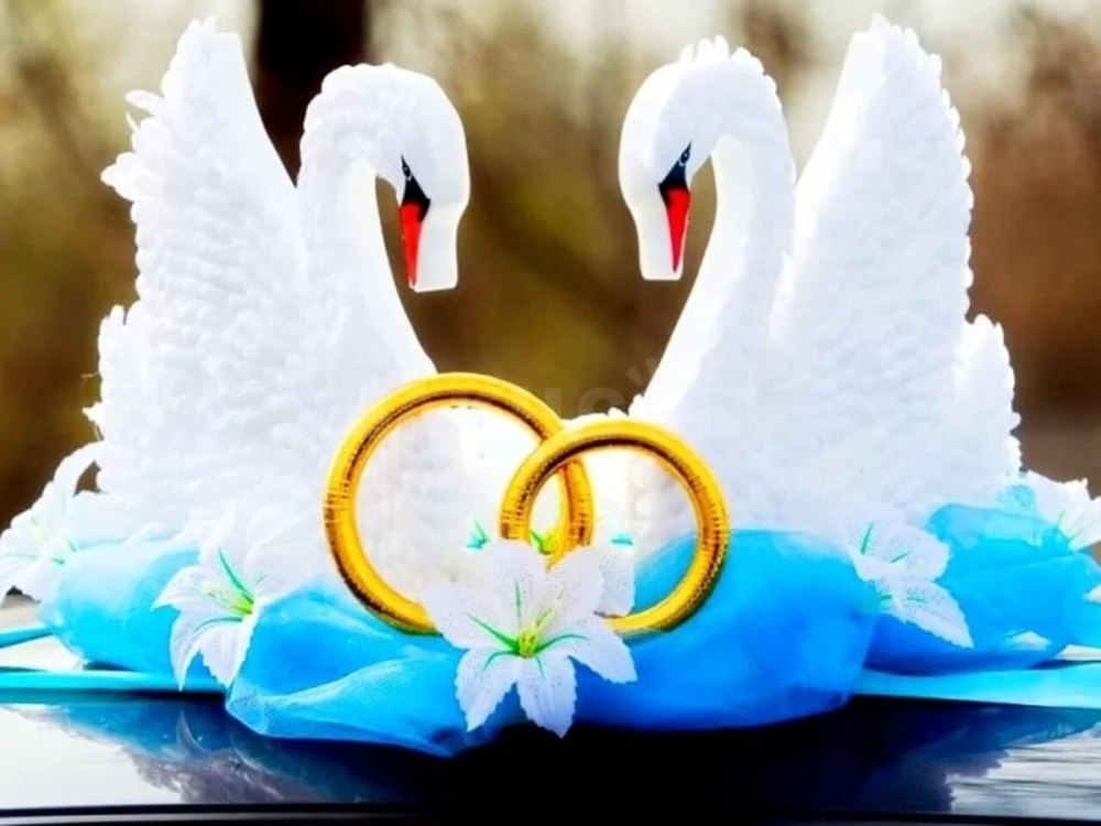 Свадебные кольца и лебеди