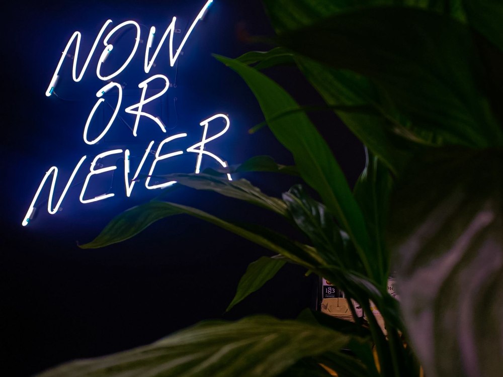 Now or never Wallpaper