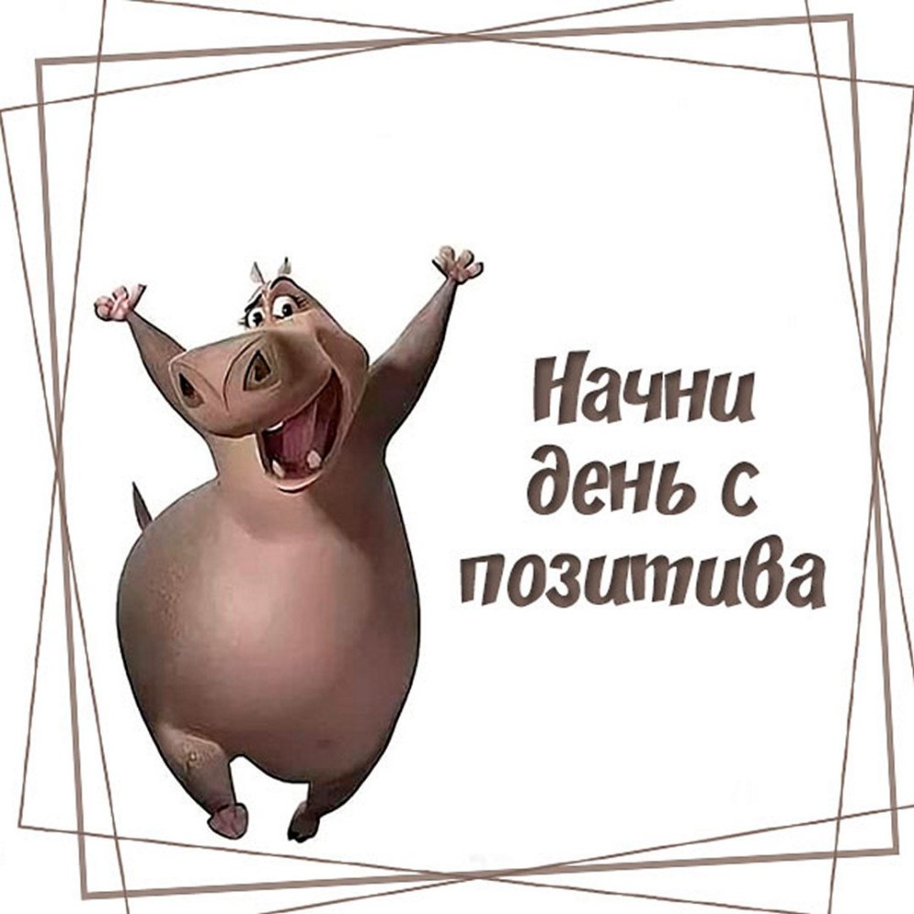 Всем привет картинки смешные