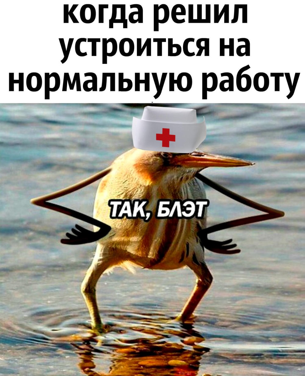 Так блэт кот