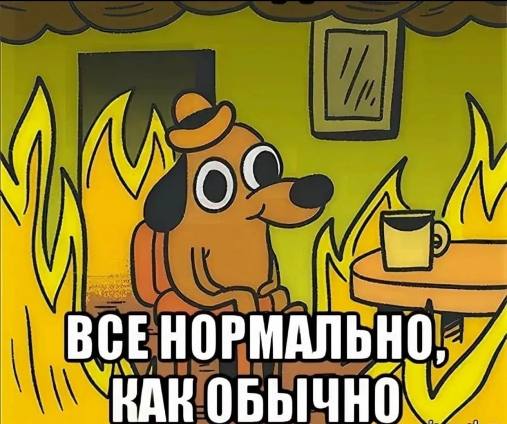 Мем с собакойв горящем досе