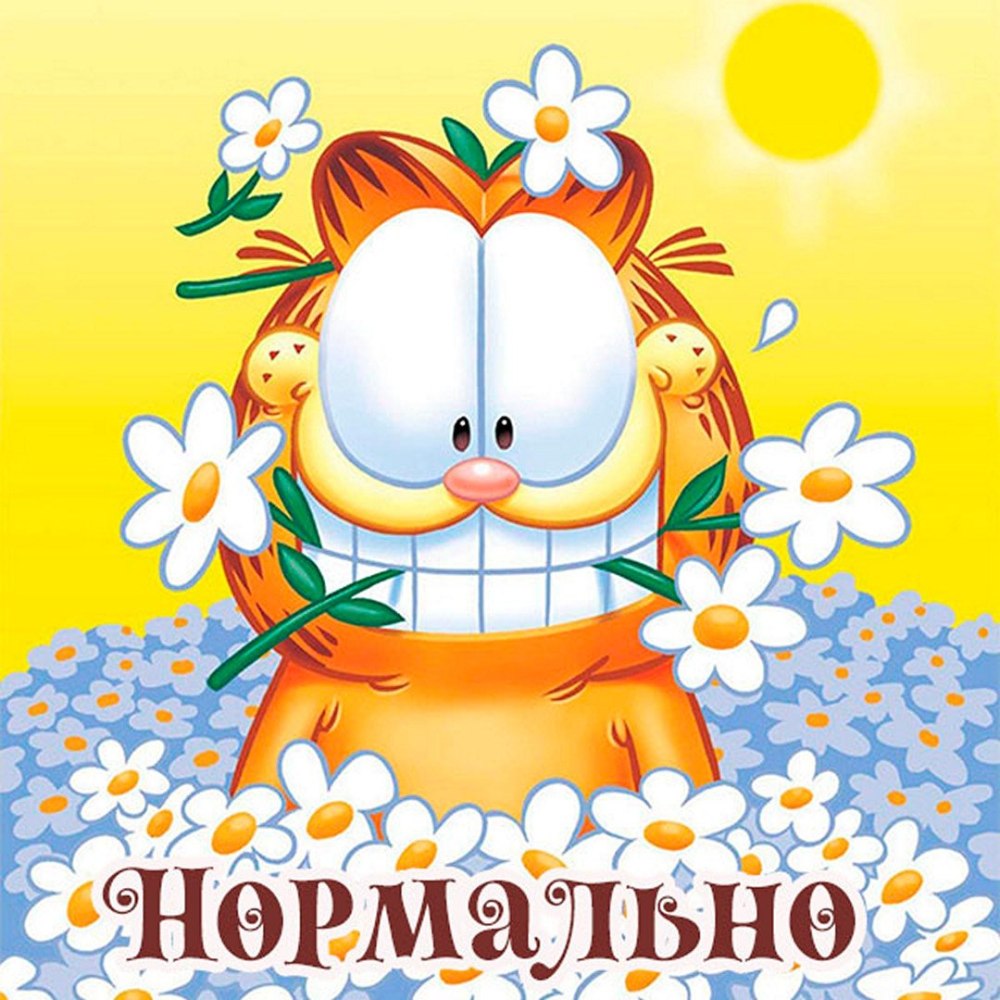 Открытки все нормально