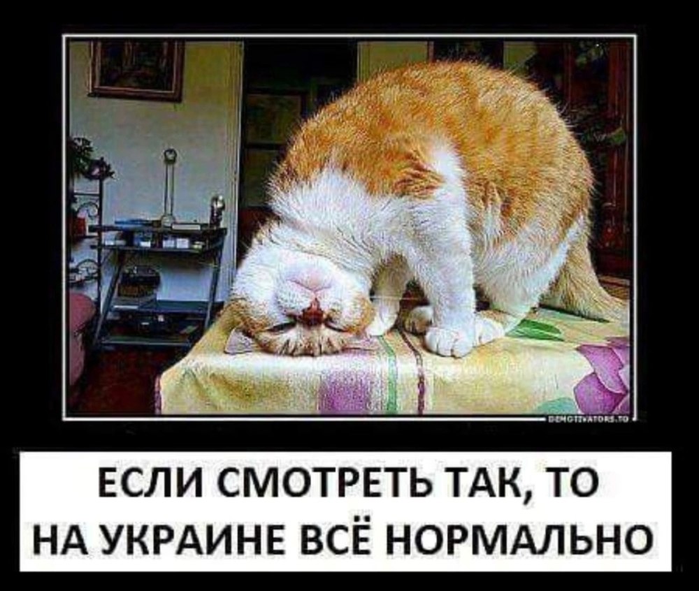 Открытка все нормально