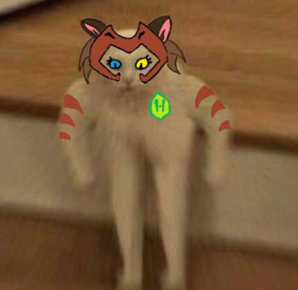 Кот с руками Мем