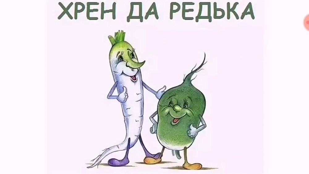 Хрен и редька юмор